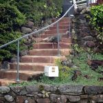 My Everyday Life: Week 14