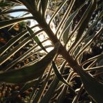 My Everyday Life: Week 51