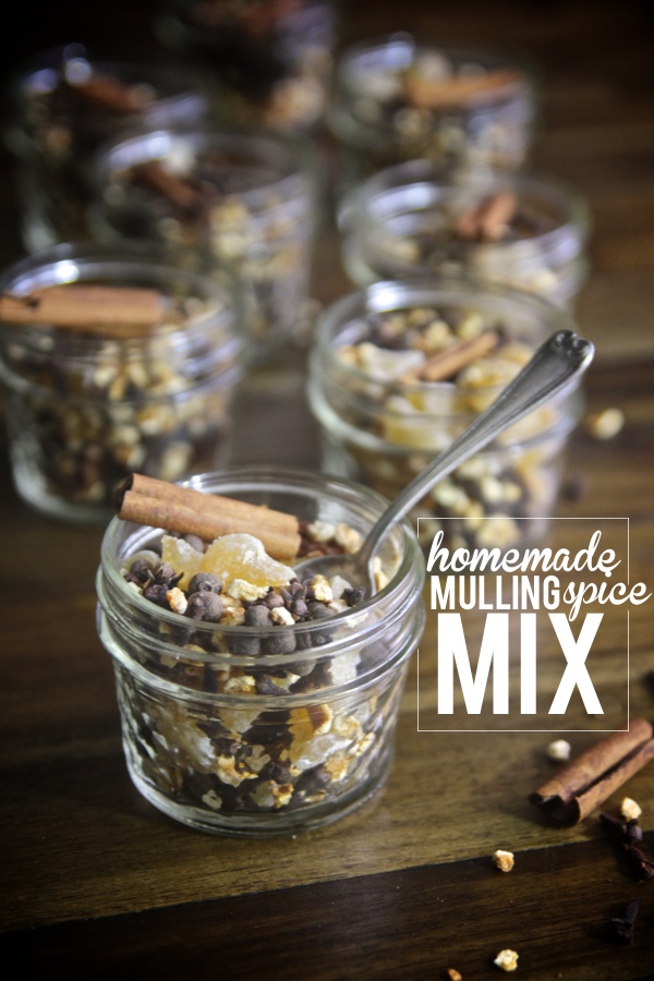 Homemade Mulling Spice Mix - Shutterbean