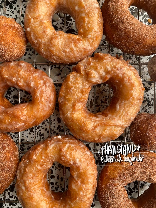 Farm Stand Buttermilk Doughnuts