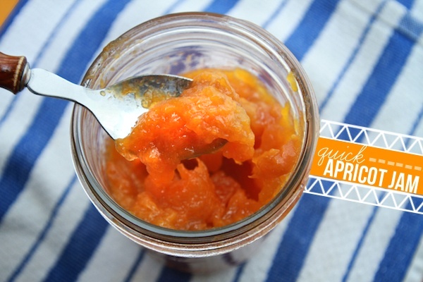 Quick Apricot Jam