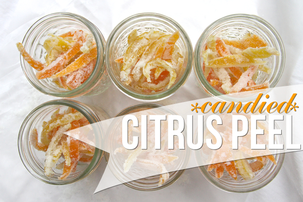 CANDIED CITRUS PEEL // shutterbean