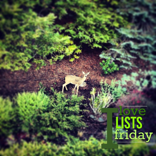 I love lists, Friday!