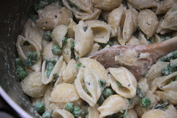 Sweet Peas & Shells Alfredo - Shutterbean