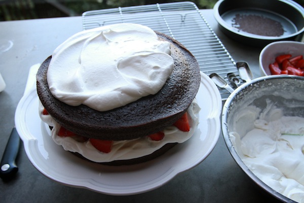 Chocolate Cake with Strawberries & Cream // shutterbean