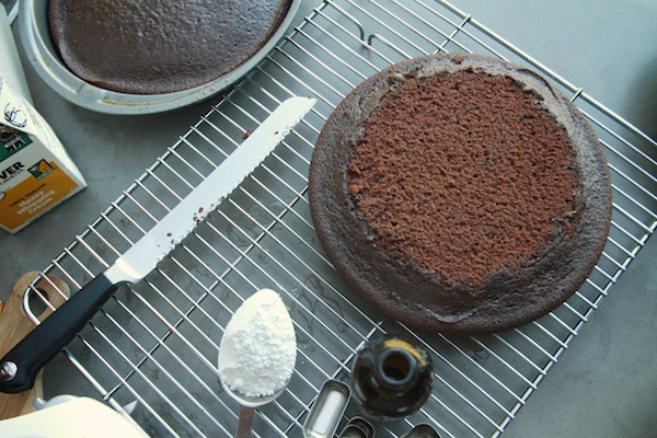 Chocolate Cake with Strawberries & Cream // shutterbean