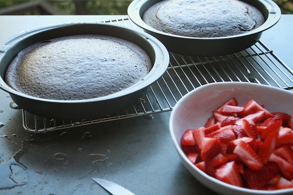 Chocolate Cake with Strawberries & Cream // shutterbean