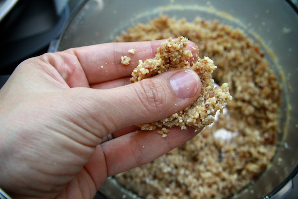 Chocolate Chip Cookie Energy Bars // shutterbean