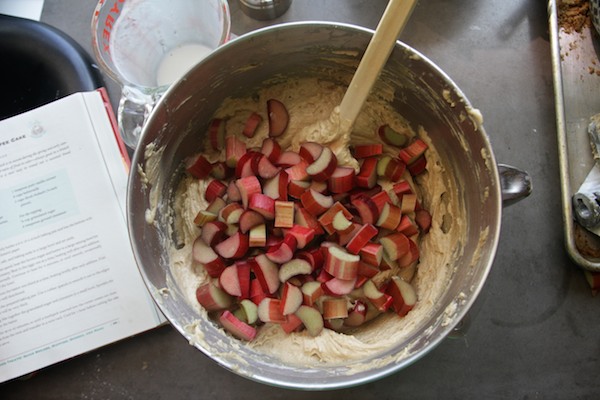 Rhubarb Coffee Cake // shutterbean