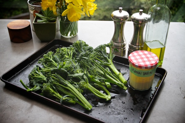 Roasted Broccolini with Lemon Tahini // shutterbean