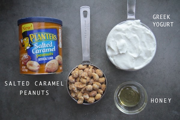 Salted Caramel Peanut Butter Yogurt Dip // shutterbean