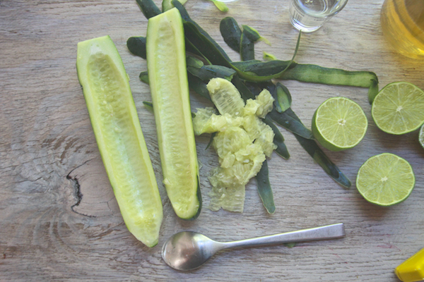 Cucumber Ginger Gin Popsicles // shutterbean