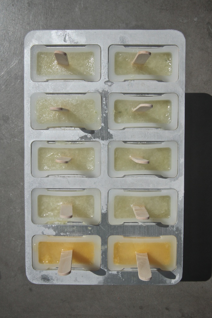 Cucumber Ginger Gin Popsicles // shutterbean