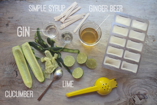 Cucumber Ginger Gin Popsicles // shutterbean