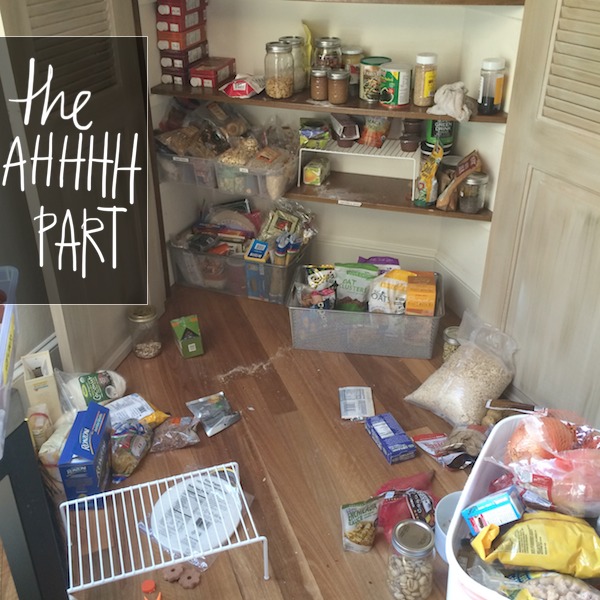 ORGANIZED PANTRY // shutterbean