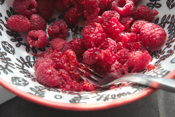 Raspberry Lemon Yogurt Popsicles // shutterbean 