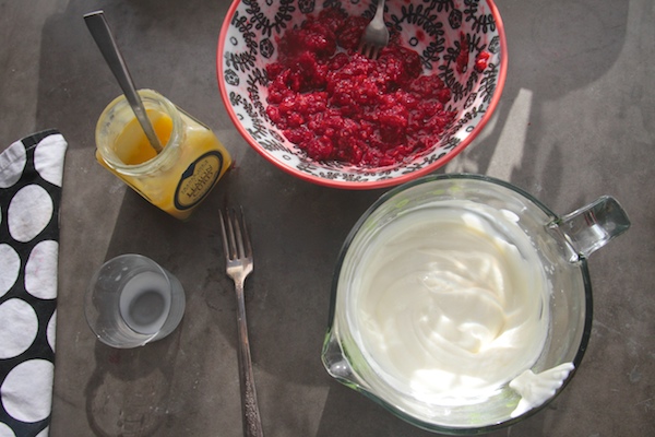 Raspberry Lemon Yogurt Popsicles // shutterbean 