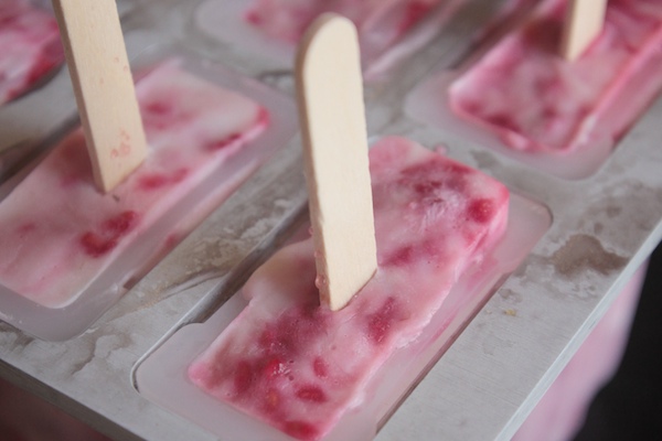 Raspberry Lemon Yogurt Popsicles // shutterbean 