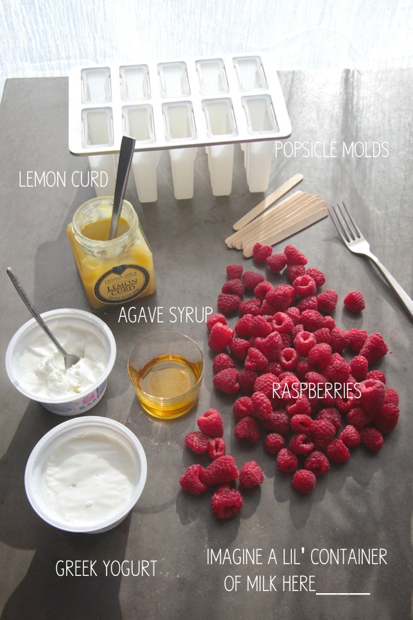 Raspberry Lemon Yogurt Popsicles // shutterbean 