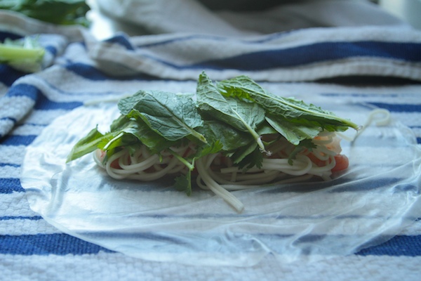 Fresh Spring Rolls // shutterbean