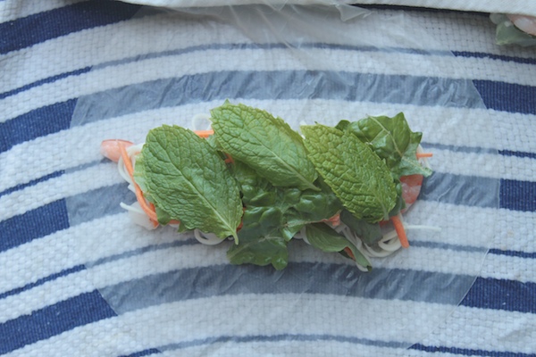 Fresh Spring Rolls // shutterbean