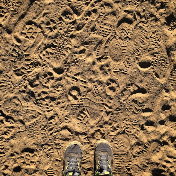 My Everyday Life: Week 30