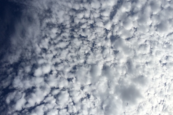My Everyday Life: Week 30