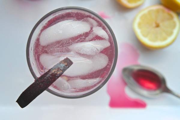 Plum Ginger Coolers // shutterbean