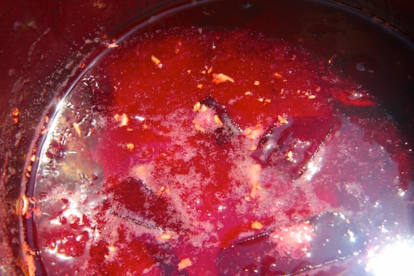 Plum Ginger Coolers // shutterbean