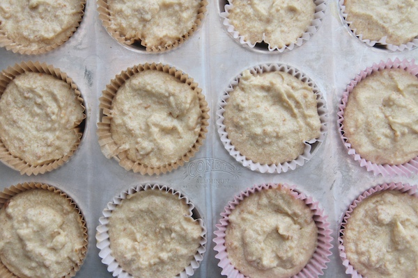 S'mores Cupcakes // shutterbean