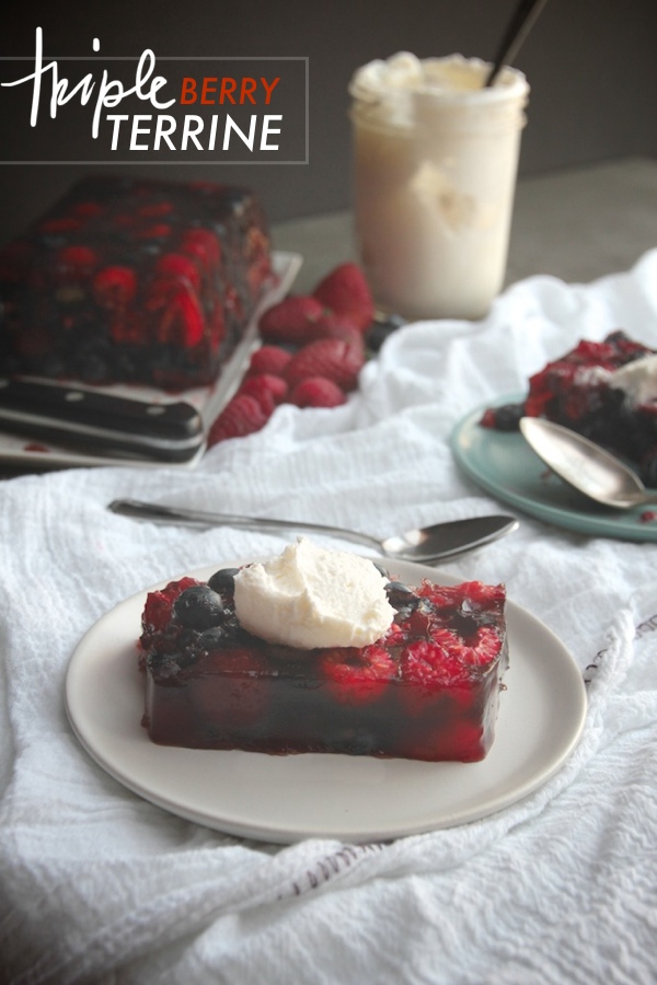 Triple Berry Terrine // shutterbean