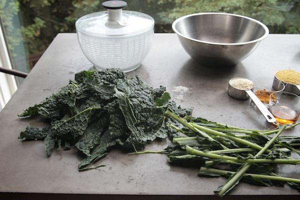 Masala Kale Chips // shutterbean