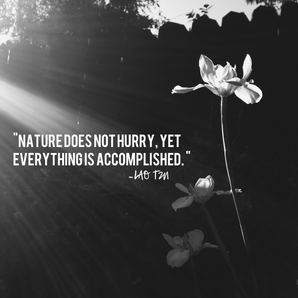 Nature does not hurry // shutterbean