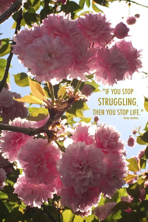 If You Stop Struggling // shutterbean