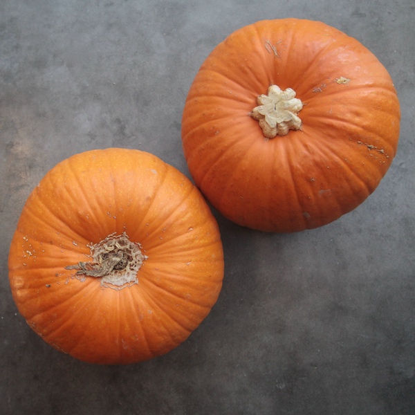 Maple Bourbon Pumpkin Butter // shutterbean