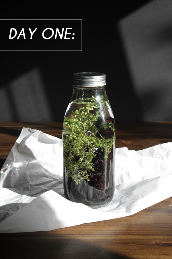 Blackberry Thyme Infused Vodka // shutterbean