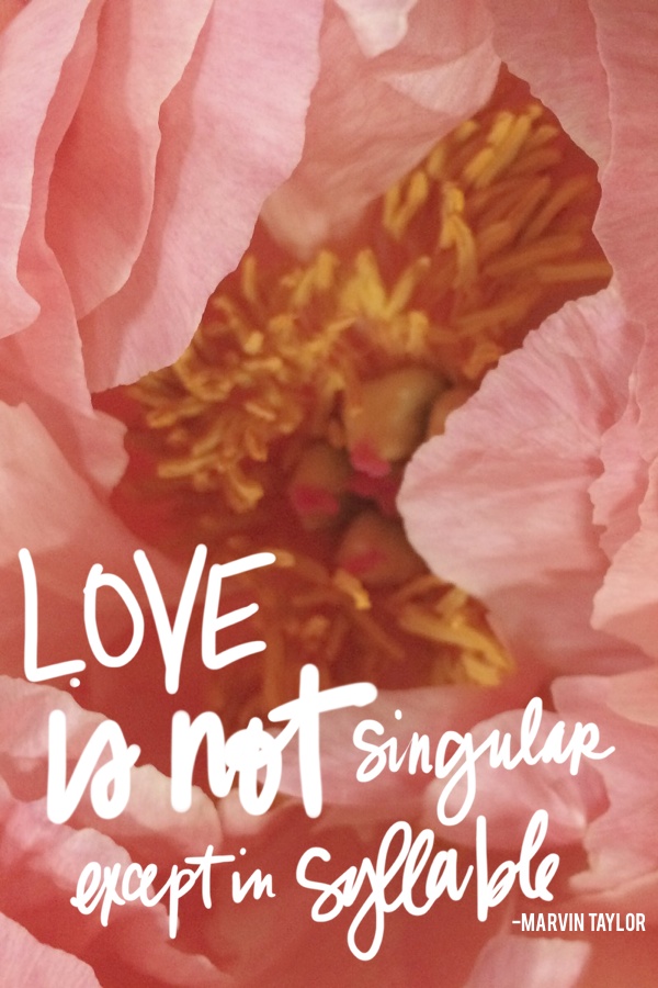 Love is not singular // shutterbean