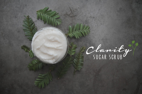 Clarity Sugar Scrub // shutterbean