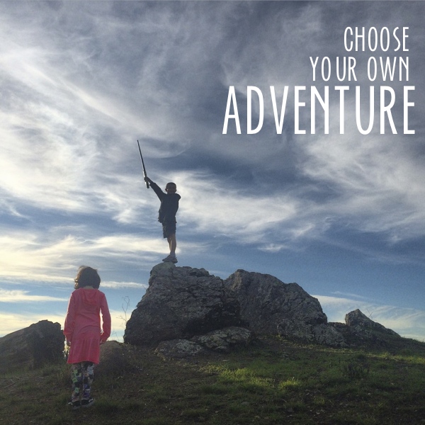 Choose your own adventure // shuterbean