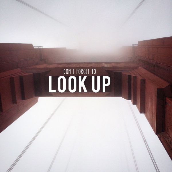 Don't forget to look up // shutterbean