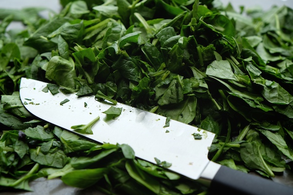 Cream of Spinach Soup // shutterbean