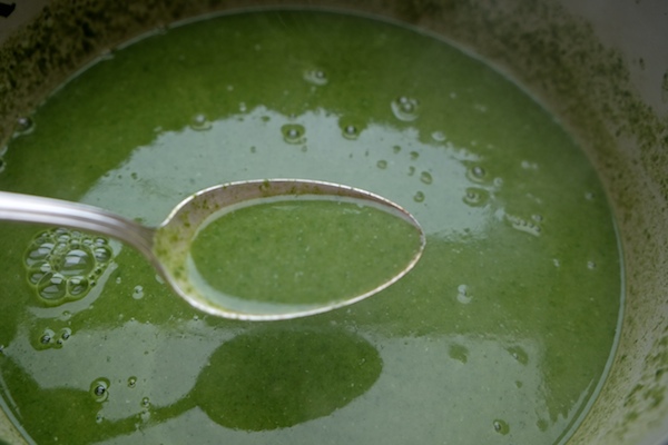 Cream of Spinach Soup // shutterbean