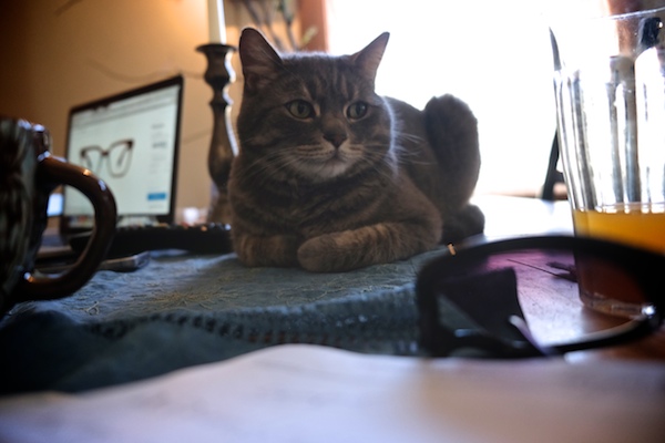 my everyday life week 9 || shutterbean 