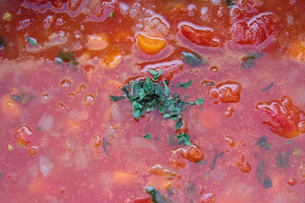 Sidekick Tomato Soup // shutterbean