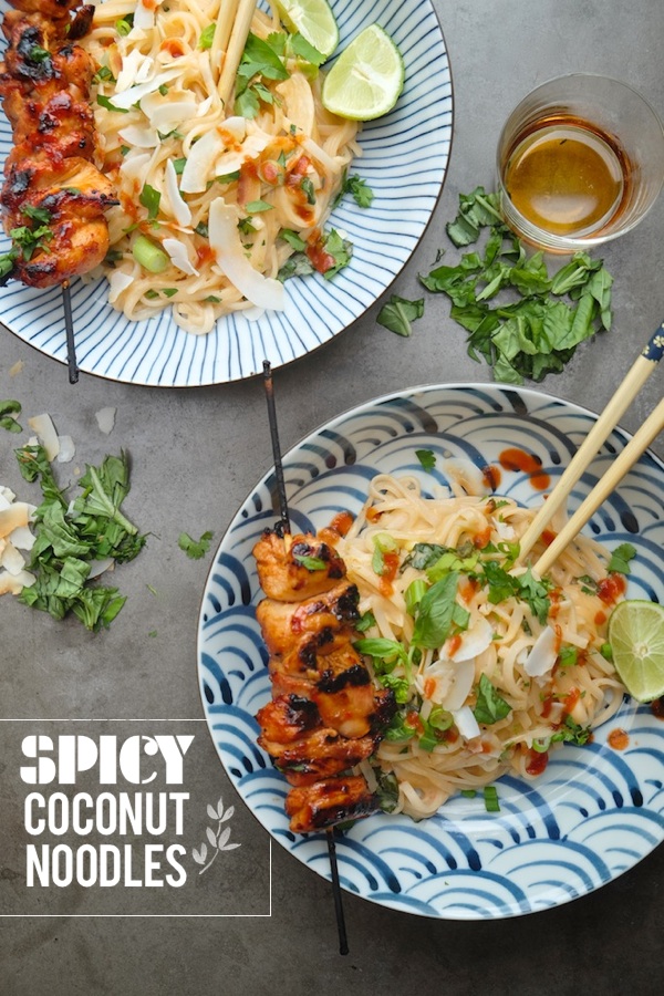 A tasty weeknight meal is only 20 minutes away. Check out the recipe for this Spicy Coconut Noodle dish on Shutterbean.com !