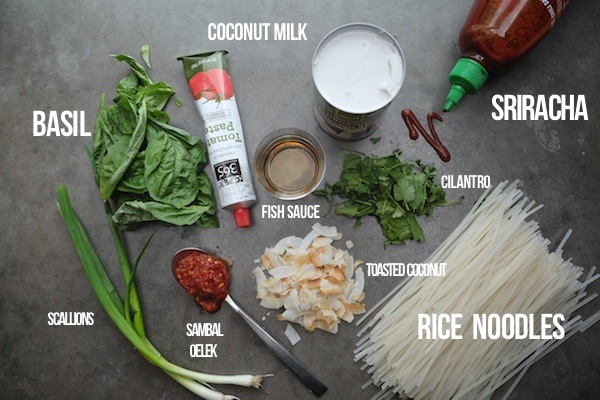 Spicy Coconut Noodles || Shutterbean