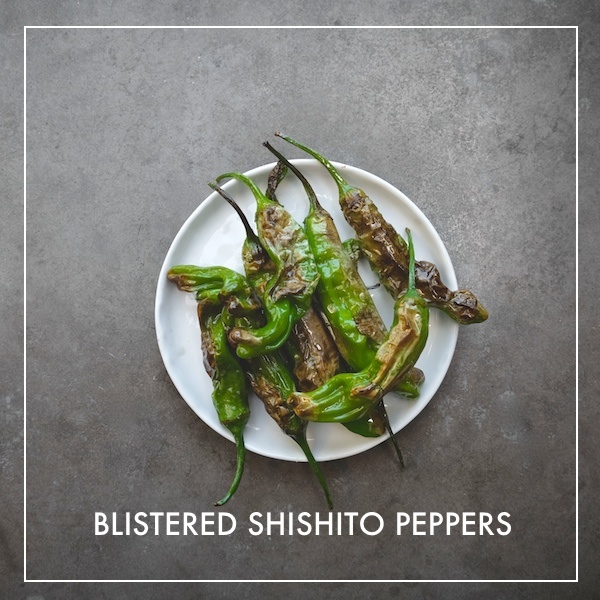 Blistered Shishito Peppers // shutterbean