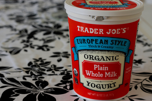 European Style Organic Plain Whole Milk Yogurt