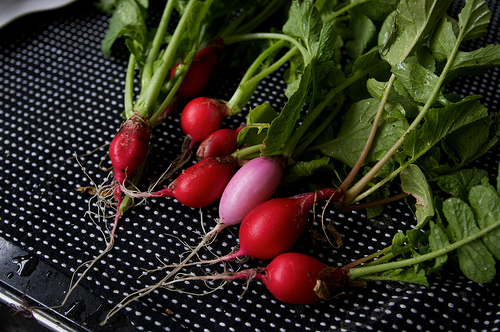 radish recipes?