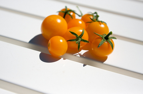 snacking on sungolds